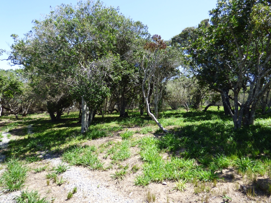 0 Bedroom Property for Sale in Kleinemonde Eastern Cape